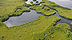 Vignette - Mangrove de la rivière salée